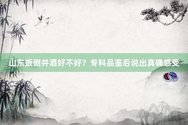 山东扳倒井酒好不好？专科品鉴后说出真确感受